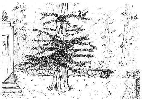 103-06-2025-082142-12