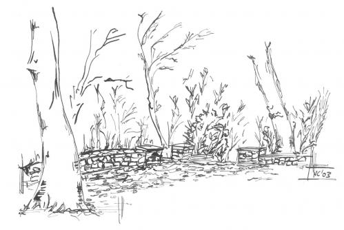 103-06-2025-082142-13