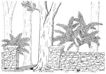 103-06-2025-082142-16